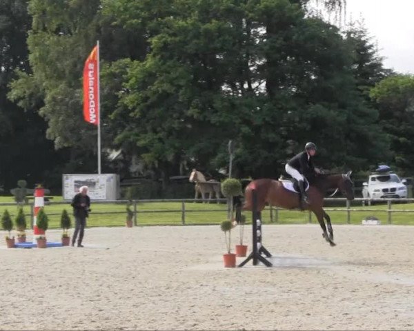Remmighausen 2013