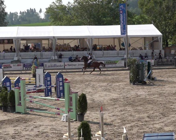 Reitturnier Humlikon 2024