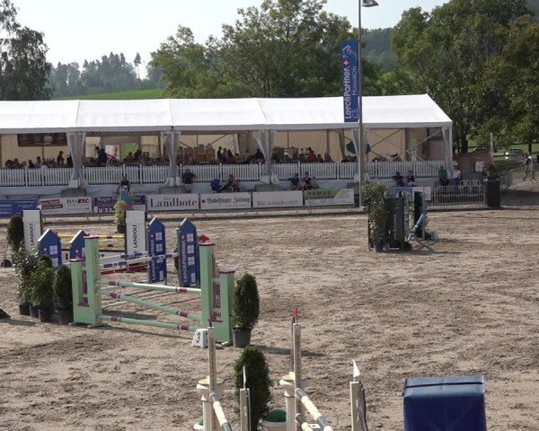 Reitturnier Humlikon 2024