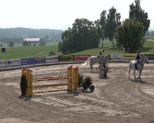 Reitturnier Humlikon 2024