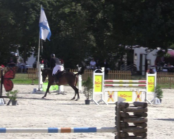 Reitturnier Pietzpuhl 2024