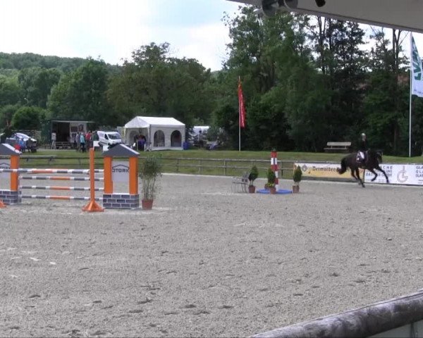 Remmighausen 2013