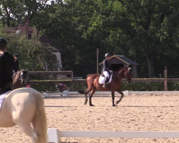 Reitturnier Müncheberg 2024