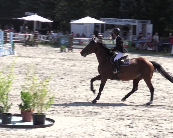 Reitturnier Pietzpuhl 2024