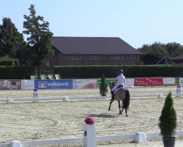 Reitturnier Ennigerloh-Neubeckum 2024