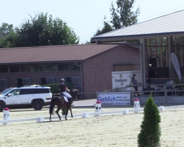 Reitturnier Ennigerloh-Neubeckum 2024