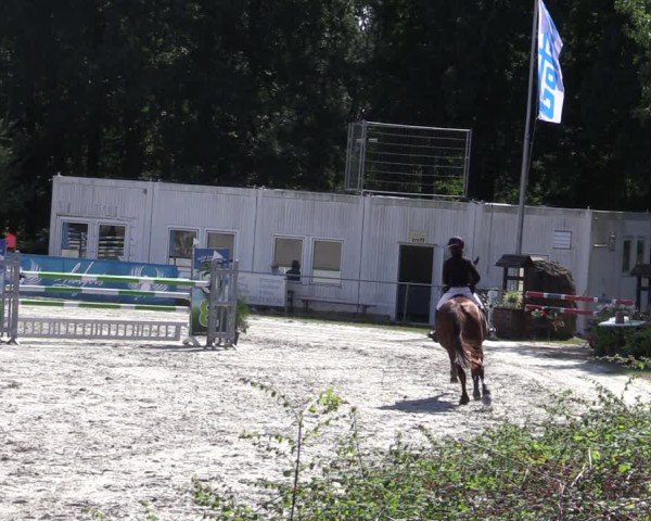 Reitturnier Pietzpuhl 2024