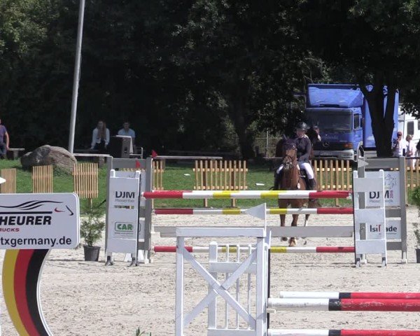 Reitturnier Pietzpuhl 2024