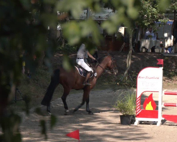Reitturnier Köln-Flittard (Scheuerhof) 2024