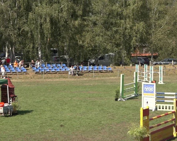 Reitturnier Dannenberg 2024