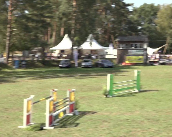 Reitturnier Dannenberg 2024
