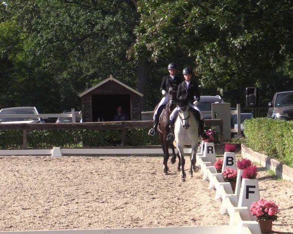 Reitturnier Müncheberg 2024