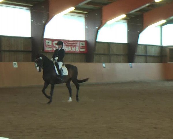 Remmighausen 2013