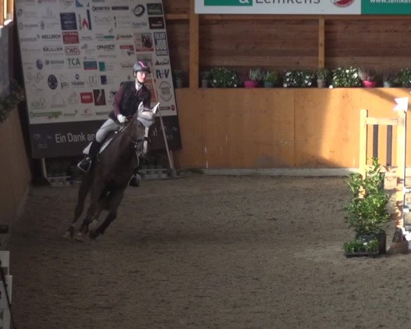 Springturnier Xanten - Reitanlage Miss 2021