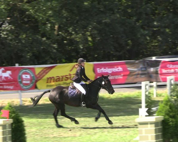 Reitturnier Müncheberg 2024