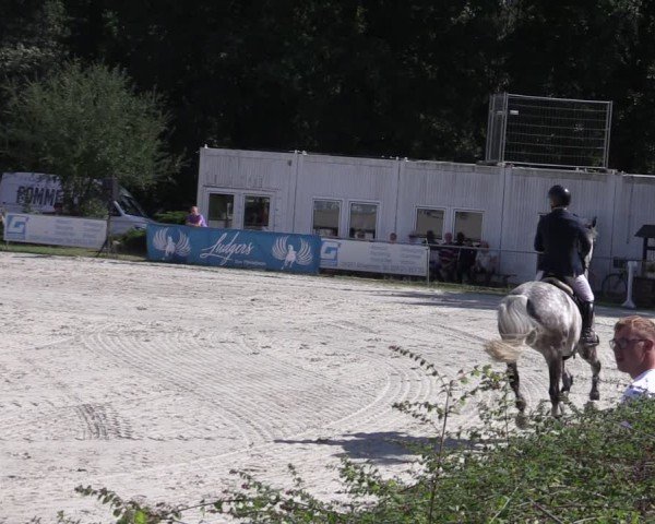Reitturnier Pietzpuhl 2024