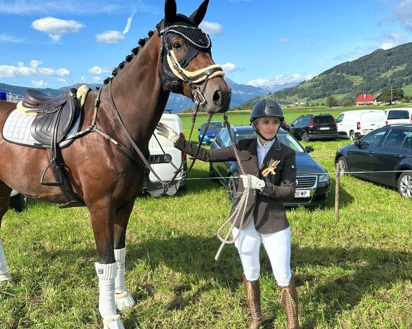 jumper Fürst Sharan (Oldenburg, 2015, from Florenz 71)