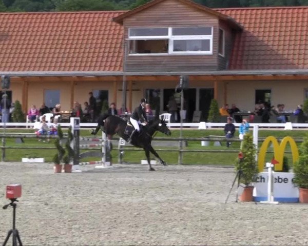 Remmighausen 2013