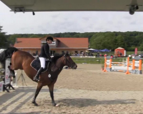 Remmighausen 2013