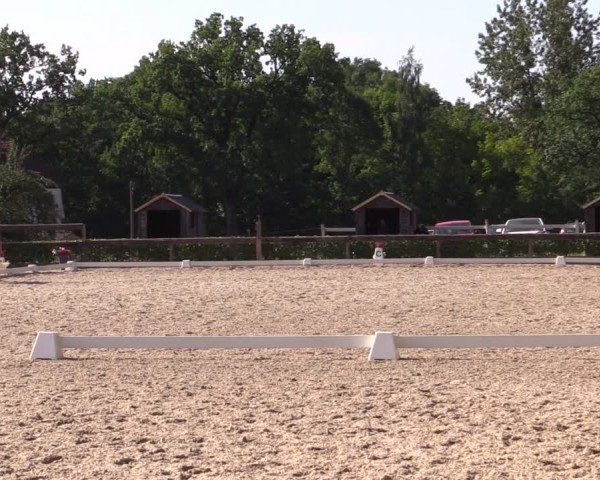 Reitturnier Müncheberg 2024