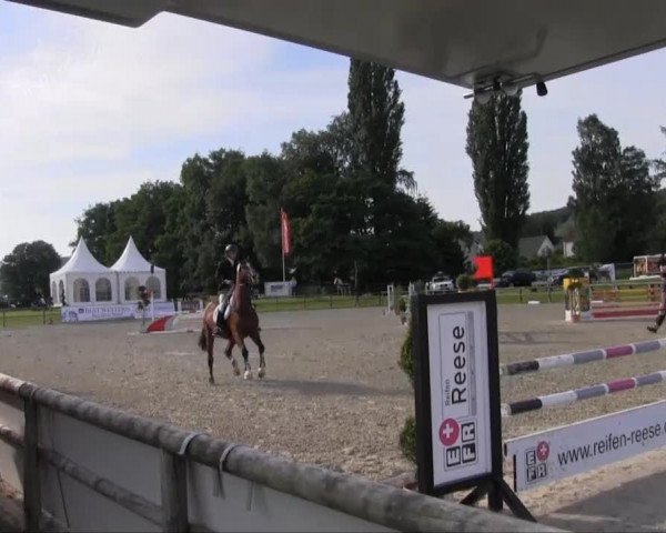 Remmighausen 2013