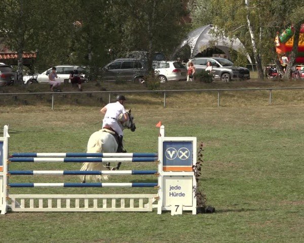 Reitturnier Dannenberg 2024