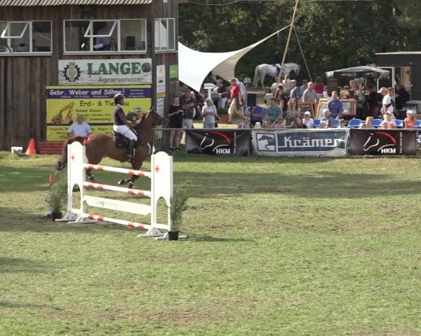 Reitturnier Dannenberg 2024