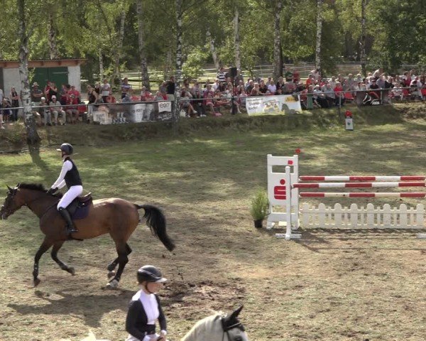 Reitturnier Dannenberg 2024