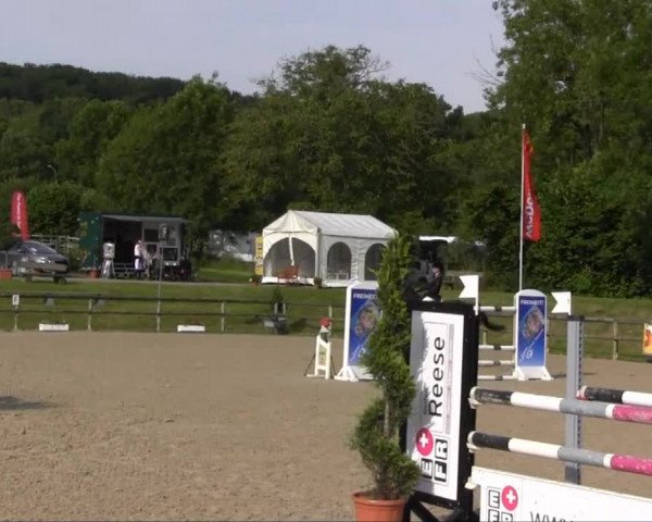Remmighausen 2013