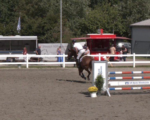 Reitturnier Springturnier Mildstedt 2024
