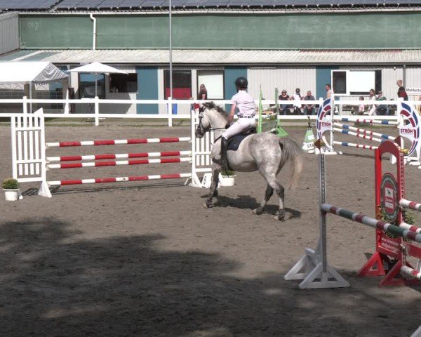 Reitturnier Springturnier Mildstedt 2024