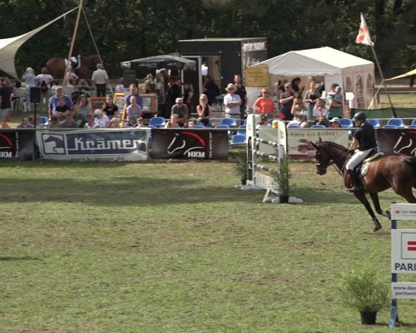 Reitturnier Dannenberg 2024