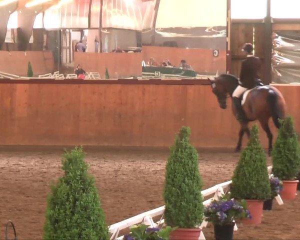 Remmighausen 2013