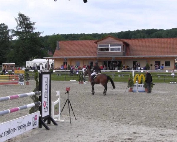 Remmighausen 2013