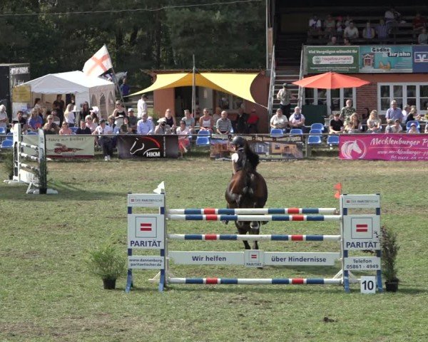 Reitturnier Dannenberg 2024