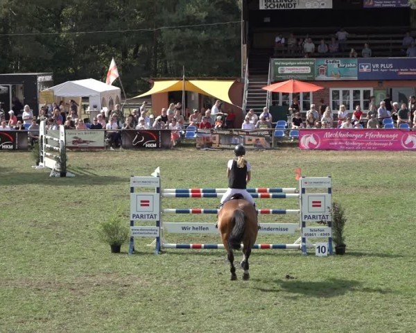Reitturnier Dannenberg 2024