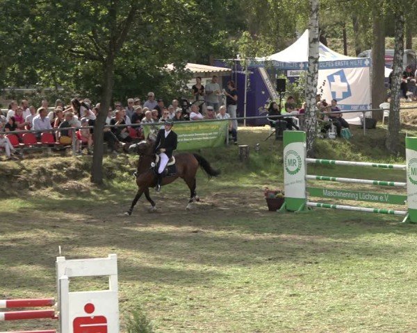 Reitturnier Dannenberg 2024