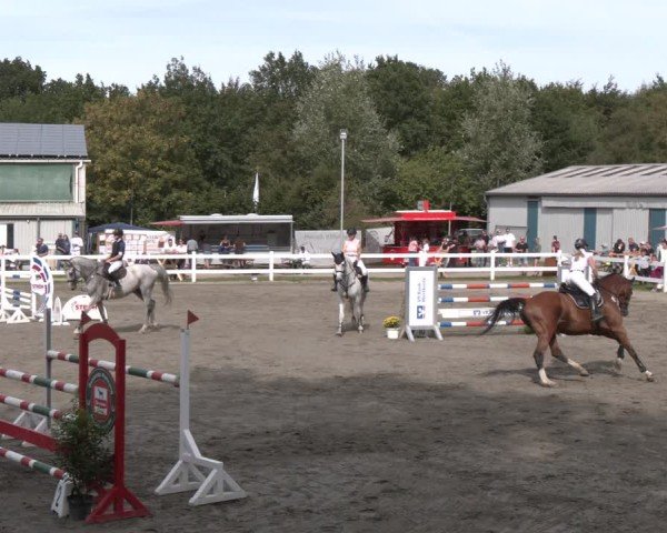 Reitturnier Springturnier Mildstedt 2024