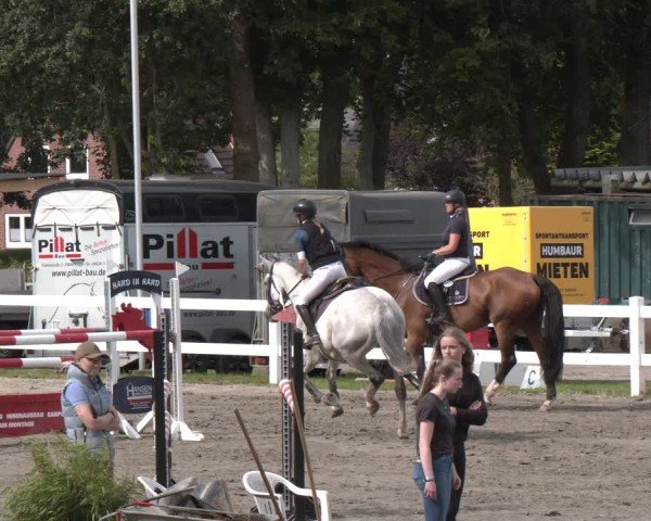 Reitturnier Springturnier Mildstedt 2024