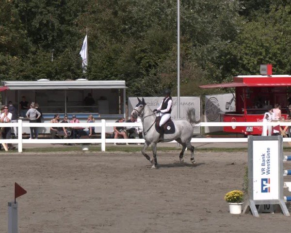 Reitturnier Springturnier Mildstedt 2024