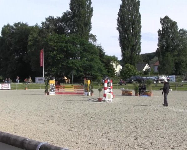 Remmighausen 2013