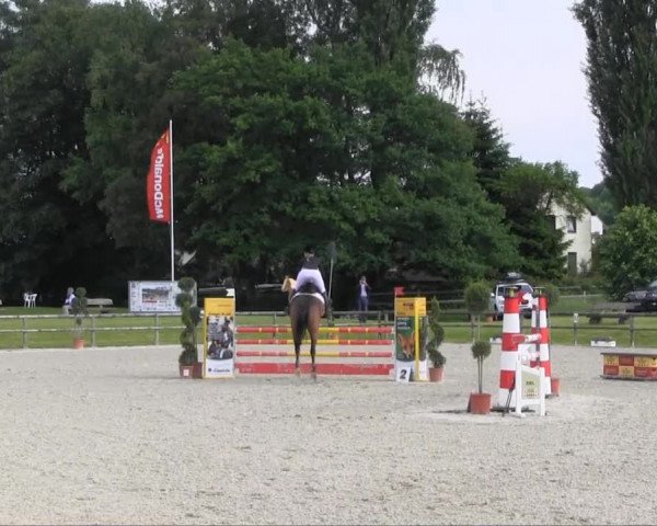 Remmighausen 2013