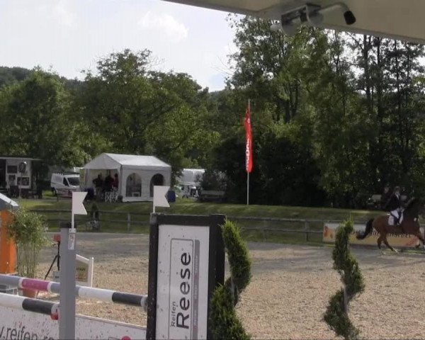 Remmighausen 2013