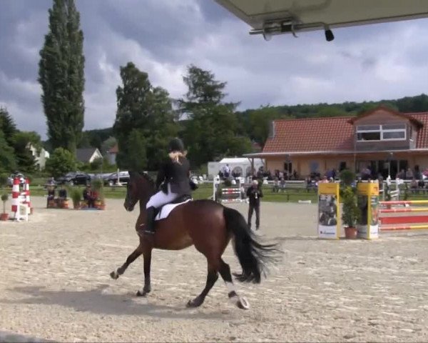 Remmighausen 2013