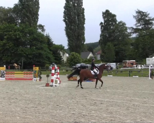 Remmighausen 2013