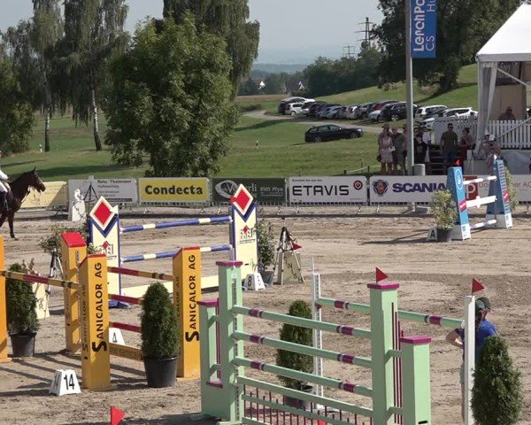 Reitturnier Humlikon 2024