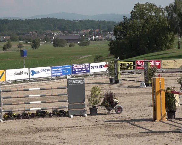Reitturnier Humlikon 2024
