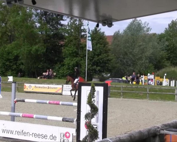 Remmighausen 2013