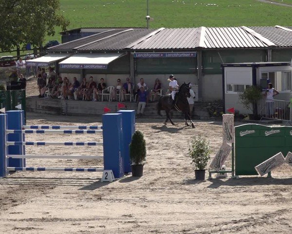 Reitturnier Humlikon 2024