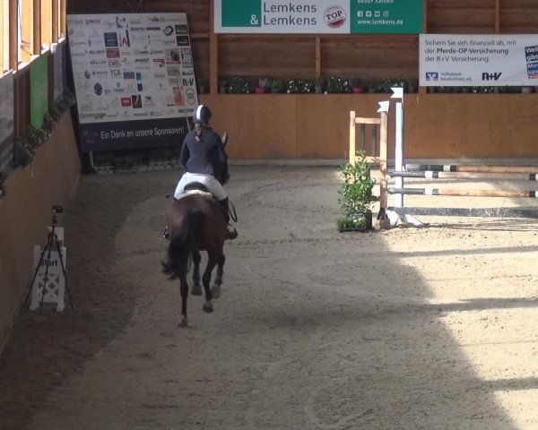 Springturnier Xanten - Reitanlage Miss 2021